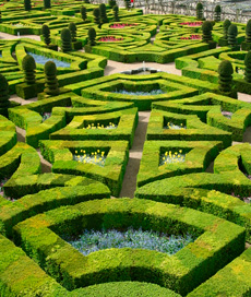 Photo of a maze